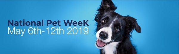 Happy National Pet Week from Adform Interiors! Happy National Pet Week from Adform Interiors!