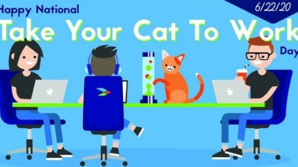 adform interiors are celebrating National Take Your Cat to Work today! adform interiors are celebrating National Take Your Cat to Work today!