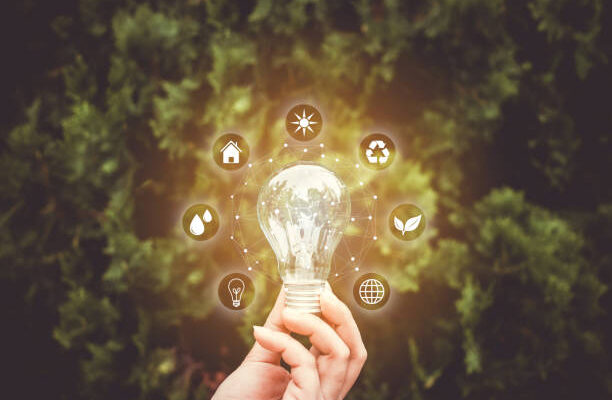 Concept save energy efficiency. Hand holding light bulb with icon on blurred tree background
