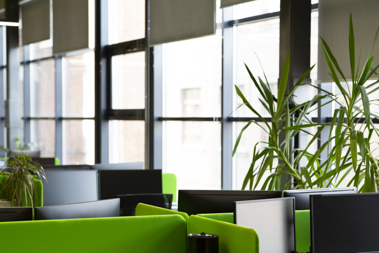Open office space in sustainable design